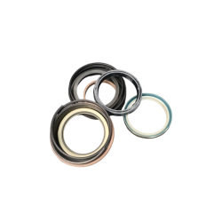 Zestaw uszczelek regulacji T 8038-00020