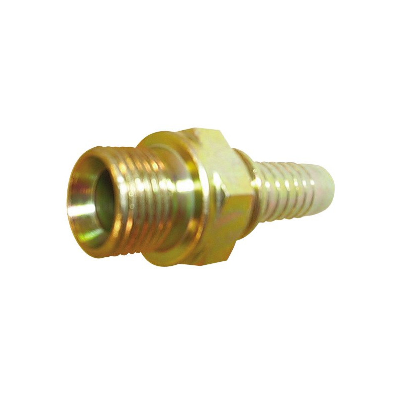 2'' BSP MĘSKA DO WĘŻA 2''