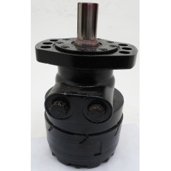 SILNIK 300CC/OBR
