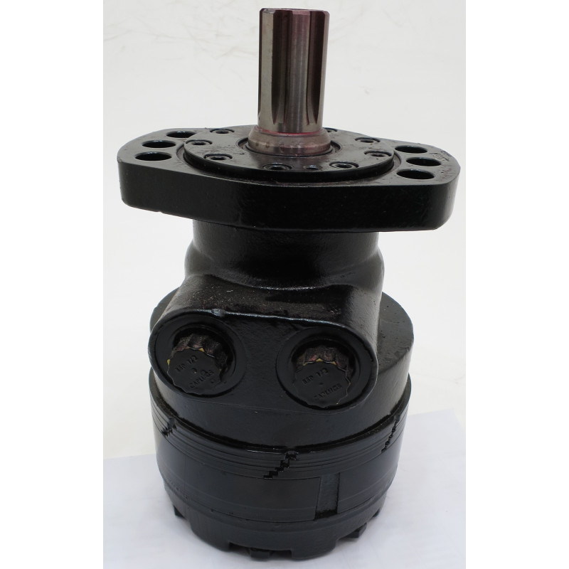 SILNIK 300CC/OBR