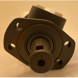 SILNIK 300CC 32MM WAŁ PAR SILNIK 300CC 32MM WAŁ PAR