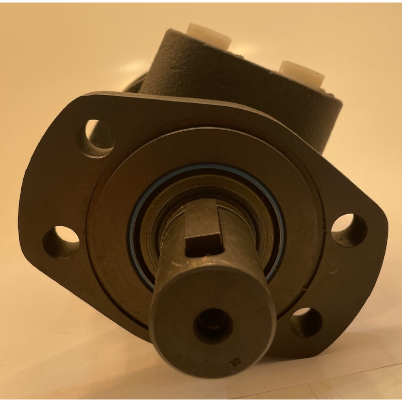 SILNIK 300CC 32MM WAŁ PAR SILNIK 300CC 32MM WAŁ PAR