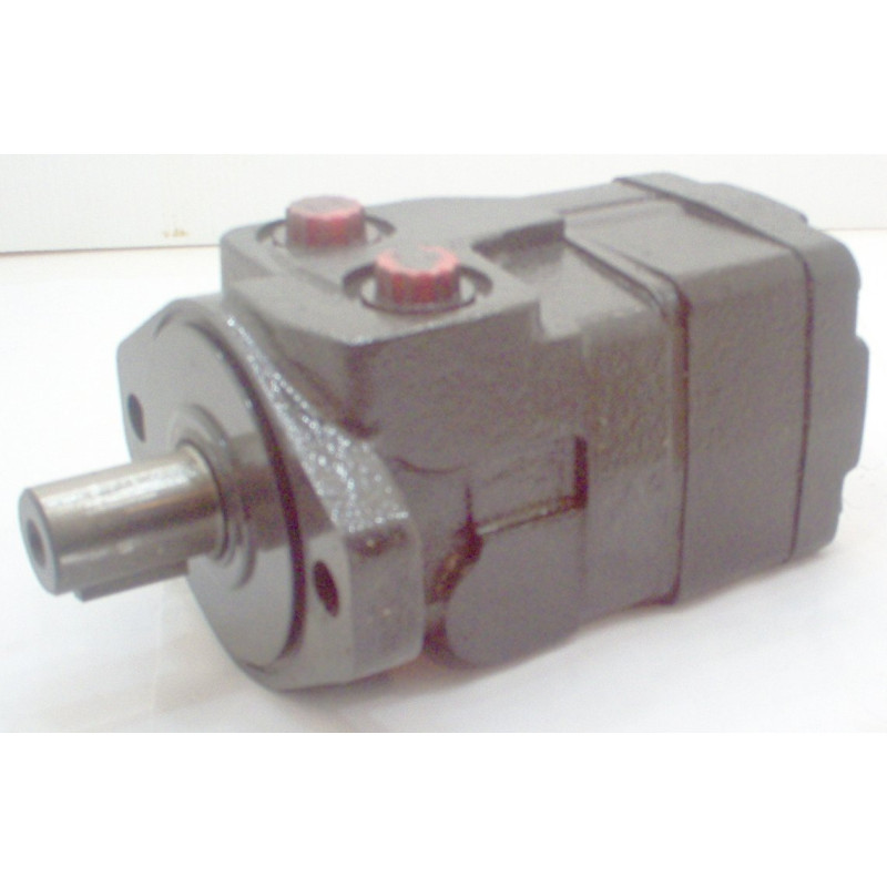 SILNIK RS 254CC 1'' WAŁ