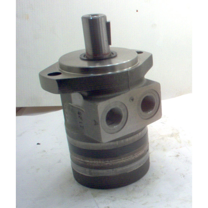 SILNIK HYDRAULICZNY TE0050CW100AAAB ROSS