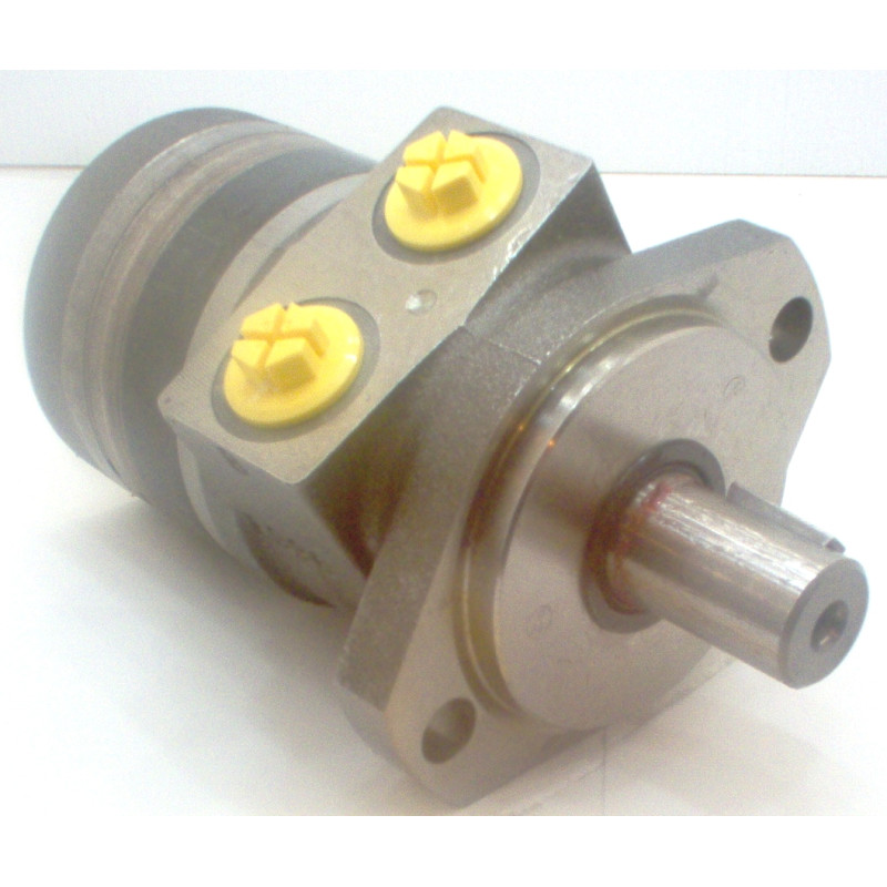 SILNIK HYDRAULICZNY TE0100CW100AAAB