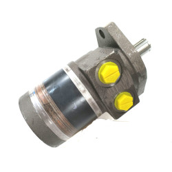 SILNIK HYDRAULICZNY TE0165AS110AAAB ROSS