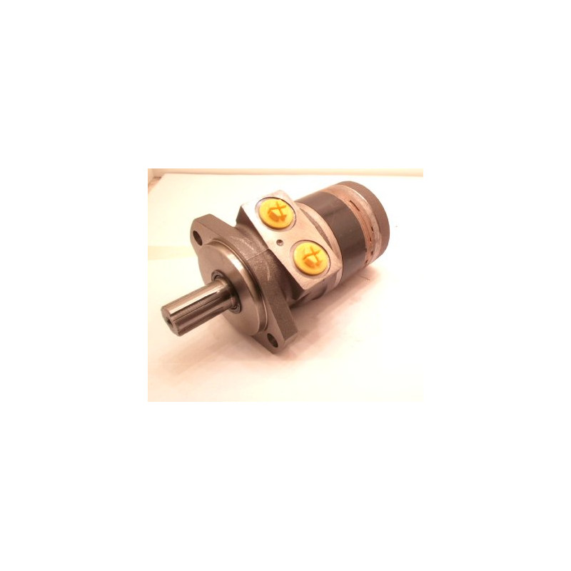 SILNIK HYDRAULICZNY TE0165CW411AAAB ROSS