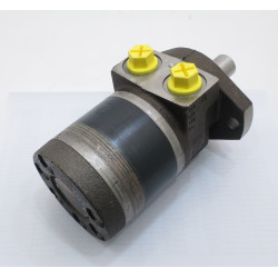 SILNIK HYDRAULICZNY TE0195CW260AAAB ROSS