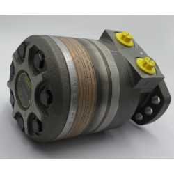 SILNIK HYDRAULICZNY TF0195EW260AAAB ROSS