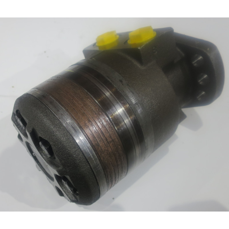 SILNIK HYDRAULICZNY TF0195EW410AAAB ROSS