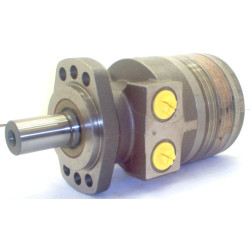 SILNIK HYDRAULICZNY TF0195EW450AAAB ROSS