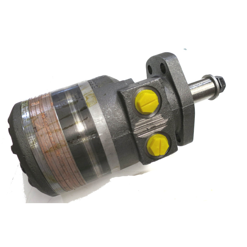 SILNIK HYDRAULICZNY TF0280MS030AAAB ROSS