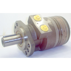 SILNIK HYDRAULICZNY TG0140EW460AAAB ROSS