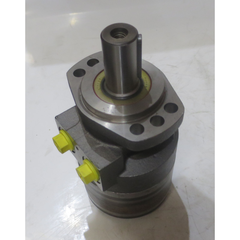 SILNIK HYDRAULICZNY TG0195EW460AAAB ROSS