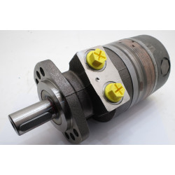 SILNIK HYDRAULICZNY WTG0195EW460BBBJ ROSS