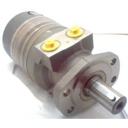 SILNIK HYDRAULICZNY TG0195MW450BBCG ROSS