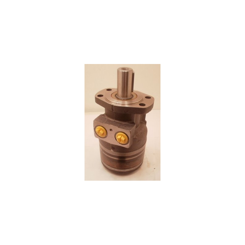 SILNIK HYDRAULICZNY TG0195MW460AAAB ROSS