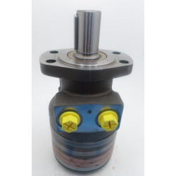 SILNIK HYDRAULICZNY TG0240MW450AAAB ROSS