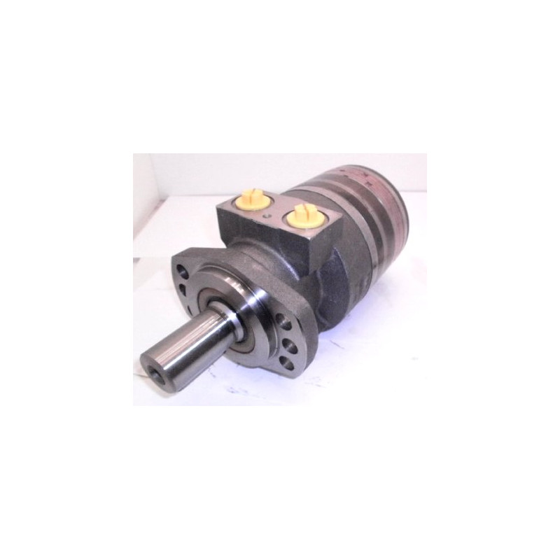 SILNIK HYDRAULICZNY TG0335EW450AAAB ROSS**