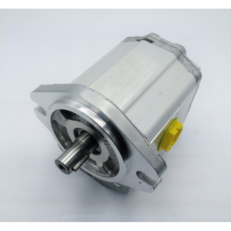 SILNIK HYDRAULICZNY SNM2/22 CI06 RWK1F